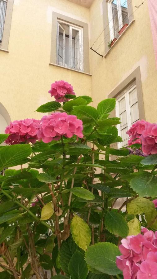 Casa Girasole Βίλα San Giorgio a Cremano Εξωτερικό φωτογραφία